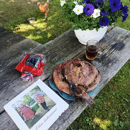 Domek letniskowy Aia Moisa Puhkekeskus Kihnus *